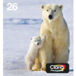 Epson C13T26164511/26 Ink cartridge multi pack Bk,C,M,Y EasyMail 220pg + 3x300pg, 6ml + 3x5ml Pack=4 for Epson XP 600