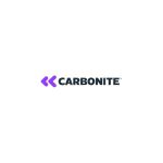 CARBONITE DoubleTake OPEN-040-703-100