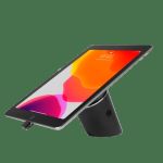 INVUE Alarming Stand