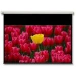 Optoma Panoview 16:9 106" projection screen 2.69 m (106")