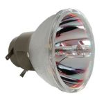 Philips Bulb only 5J.05Q01.001 W20000