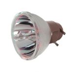 NEC NP19LP 60003129 original lamp