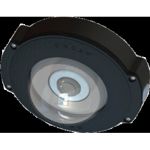Pelco Evolution 360 Dome Cam, IP66, Client-Side WDR, Low-Light, 