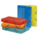 Exacompta Linicolor Filing Box PP 40mm S