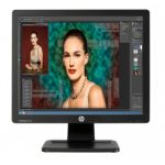 HP ProDisplay P17A 43.2 cm (17") 1280 x 1024 pixels LED Black