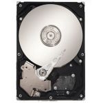 Seagate Harddisk 750 GB SATAll 32MB 