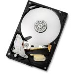 HGST Deskstar 7K1000.C 3.5" 500 GB Serial ATA II