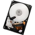 HGST Deskstar 7K2000 3.5" 2000 GB Serial ATA II