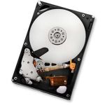HGST 1TB SATAII 32MB