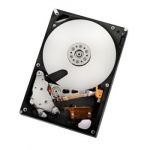 HGST Ultrastar A7K2000 3.5" 2000 GB Serial ATA II