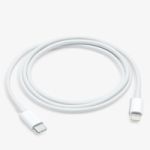 Apple Type C to Lightning Cable - 1M - White