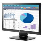 HP ProDisplay P202 20-inch Monitor