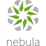 Zyxel LIC-NPRO-ZZ1Y00F software license/upgrade 1 license(s) 1 year(s)