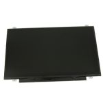 DELL M4RTT notebook spare part Display