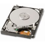 Fujitsu MBD2147RC SAS Hard Drives