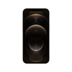 Apple iPhone 12 Pro Max 17 cm (6.7") Dual SIM iOS 14 5G 128 GB Gold