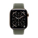 Apple 42mm Sage Grey Magnetic Link - S/M