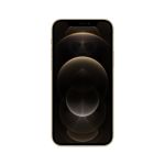 Apple iPhone 12 Pro 15.5 cm (6.1") Dual SIM iOS 14 5G 128 GB Gold