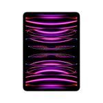 Apple iPad Pro 5G LTE 2000 GB 27.9 cm (11") Apple M 16 GB Wi-Fi 6E (802.11ax) iPadOS 16 Grey