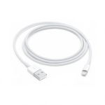Lightning to USB Cable (1 m)