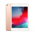 iPad mini Wi-Fi 256GB - Gold