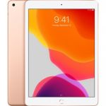 10.2-inch iPad Wi-Fi + Cellular 32GB - Gold