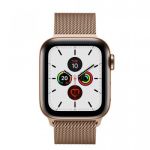 Apple Watch Series 5 GPS + Cellular, 40mm Gold Stainless Steel Case with Gold Milanese Loop