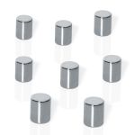 Sigel Neod mag cylinder silver 8x10mm 8 pcs