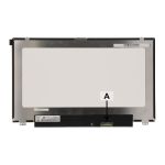 DELL LCD Display 12,5 Inch HDF