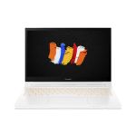 Acer ConceptD CC314-72P Hybrid (2-in-1) 35.6 cm (14") 1920 x 1080 pixels Touchscreen 10th gen Intel?