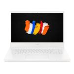 Acer ConceptD CN315-72P-71KZ Notebook 39.6 cm (15.6") 1920 x 1080 pixels 10th gen Intel Coreâ„¢ i7
