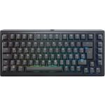 Ducky ProjectD Tinker 75 Black Keyboard 75% Brown Cherry MX ISO UK Layout