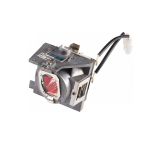 Viewsonic RLC-118 projector lamp