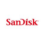 Sandisk ULLtraDIMM 200GB DDR3-1600 MLC SSD