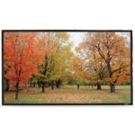 Sapphire AV SFSC234-SB-AT projection screen 2.69 m (106") 16:9
