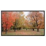 Sapphire AV SFSC266-SB-AT projection screen 3.07 m (121") 16:9