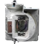 Optoma BL-FU310D projector lamp 310 W