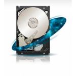 Seagate Constellation ST1000NM0001 internal hard drive 3.5" 1000 GB SAS