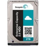 Seagate Constellation .2 2TB 2.5" 2048 GB Serial ATA