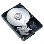 Seagate Desktop HDD 1000GB HDD SAS