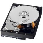 Seagate 2TB 7,2k 6G SAS LFF HDD