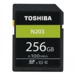 Toshiba SD-Card Exceria R100 N203 256GB