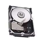 DELL SI HDD ST 300GB ST3300657SS 