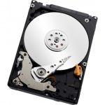 Western Digital Scorpio Blue 160GB 2.5" Serial ATA II