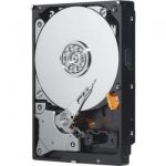 Western Digital XE 300GB 3.5" SAS