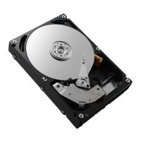 HPE RP000116723 internal hard drive 3.5" 500 gb serial ata
