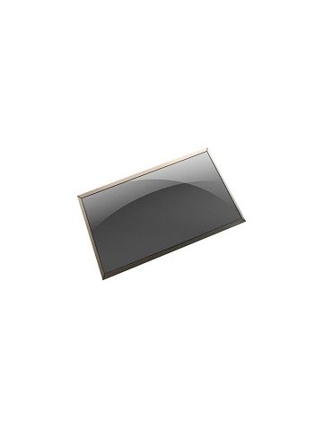 DELL 1PW4Y notebook spare part Display
