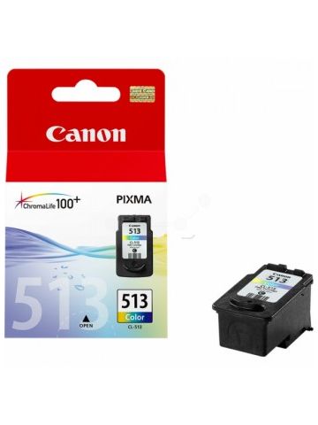 Canon 2971B001 (CL-513) Printhead color, 349 pages, 13ml