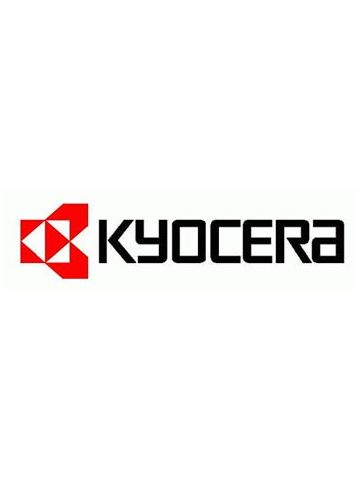 KYOCERA 302LW93010 (DV-350) Developer unit, 300K pages