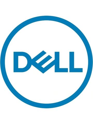 DELL 345-BBYZ internal solid state drive 2.5" 960 GB SAS